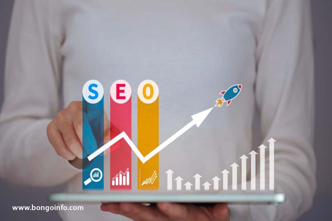 Search Engine Optimization (SEO) Search Engine Optimization (SEO)