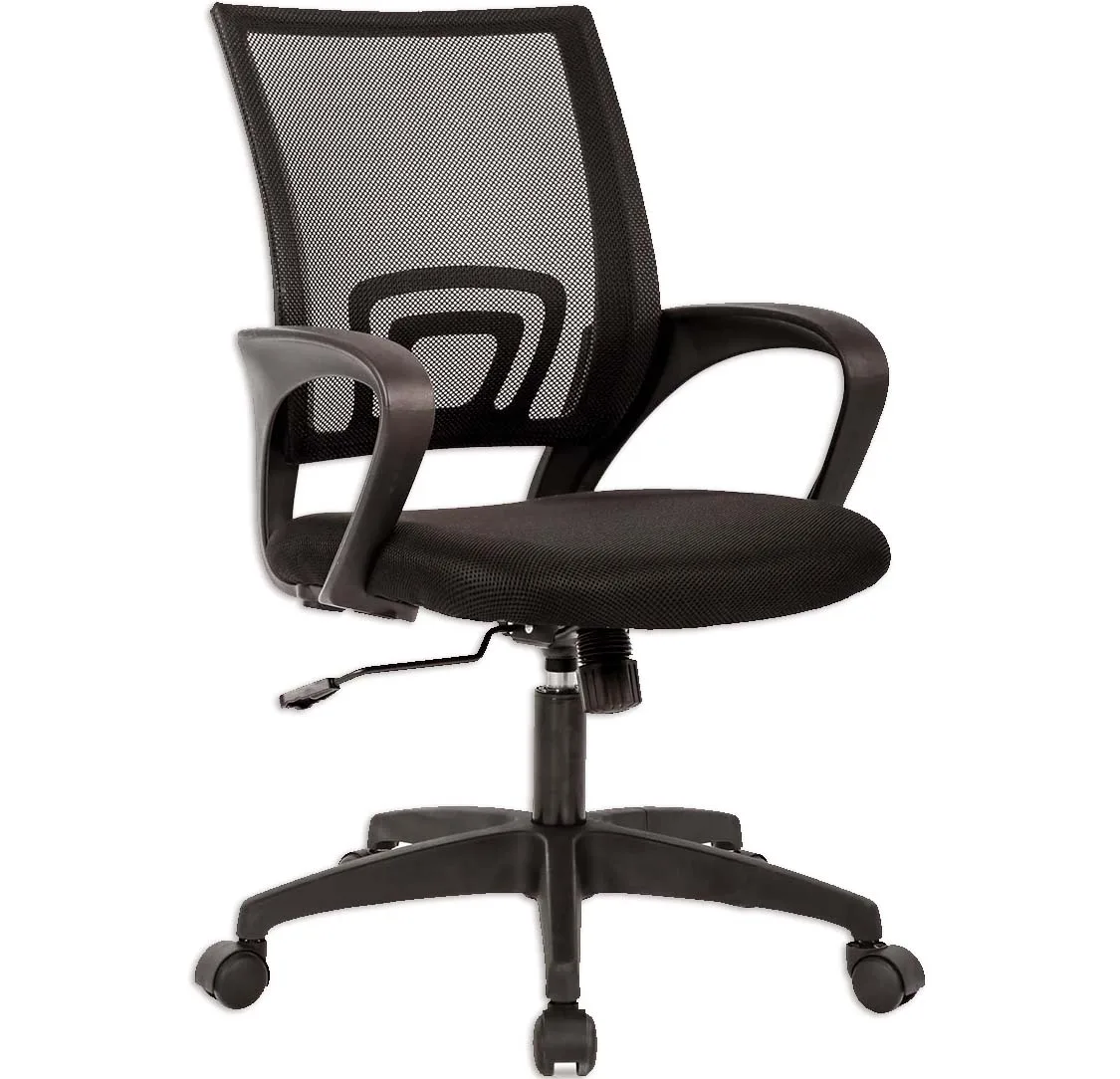 Mother's Day - 100 Best Gift Ideas Lumbar Support Armrest Rolling Home and Office Chair for Women
