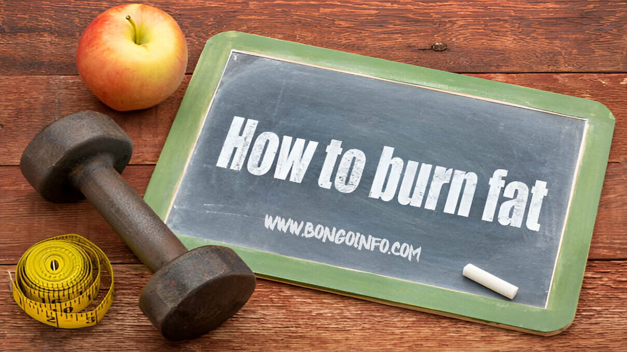 7-Day Fat Burning Diet Plan for Beginners: Start Losing Weight Today How To 7-Day Fat Burning Diet Plan